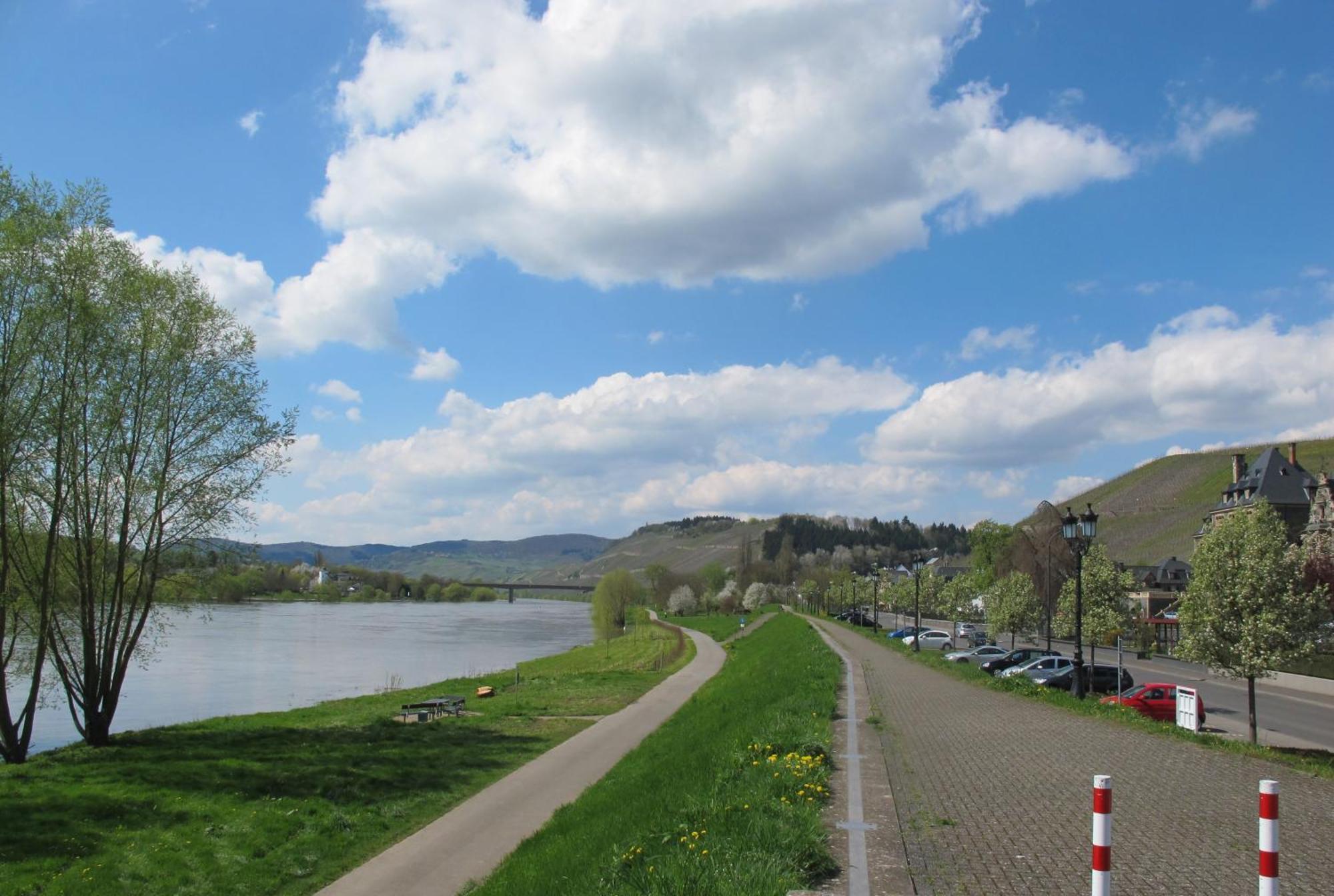 Mosel - River - Quartier 31 Ξενοδοχείο Lieser Εξωτερικό φωτογραφία