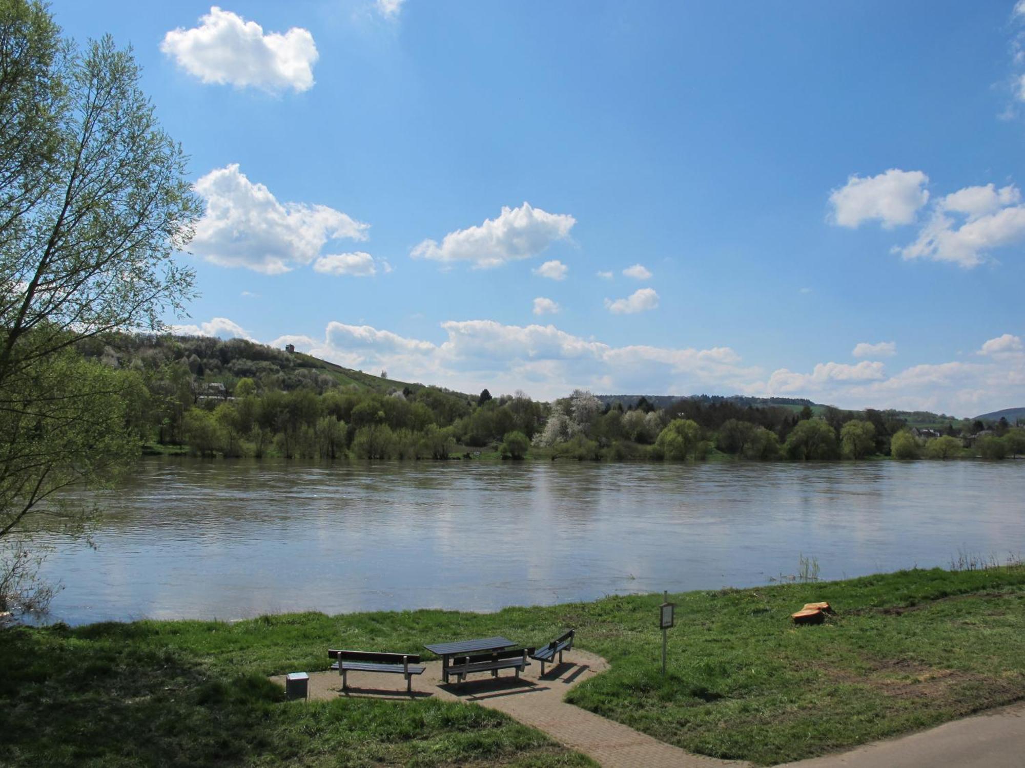 Mosel - River - Quartier 31 Ξενοδοχείο Lieser Εξωτερικό φωτογραφία