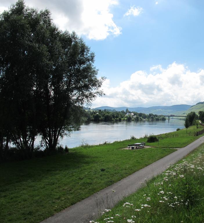 Mosel - River - Quartier 31 Ξενοδοχείο Lieser Εξωτερικό φωτογραφία