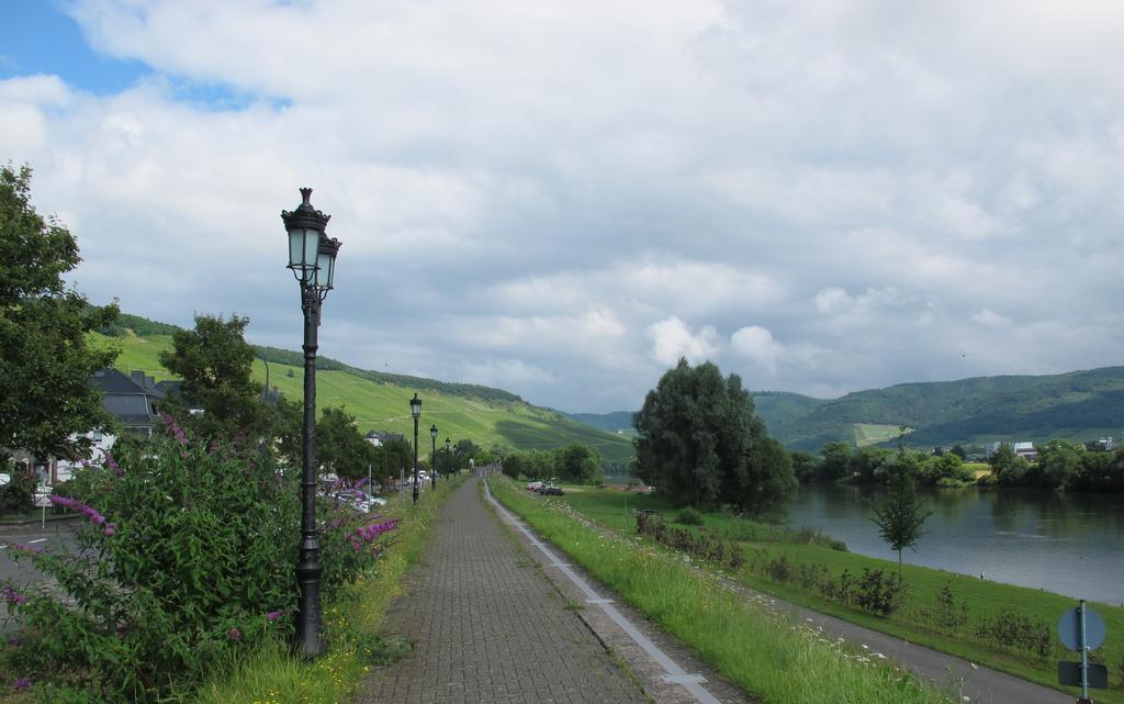 Mosel - River - Quartier 31 Ξενοδοχείο Lieser Εξωτερικό φωτογραφία